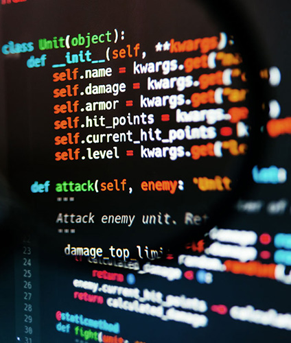 Web Design & Development service